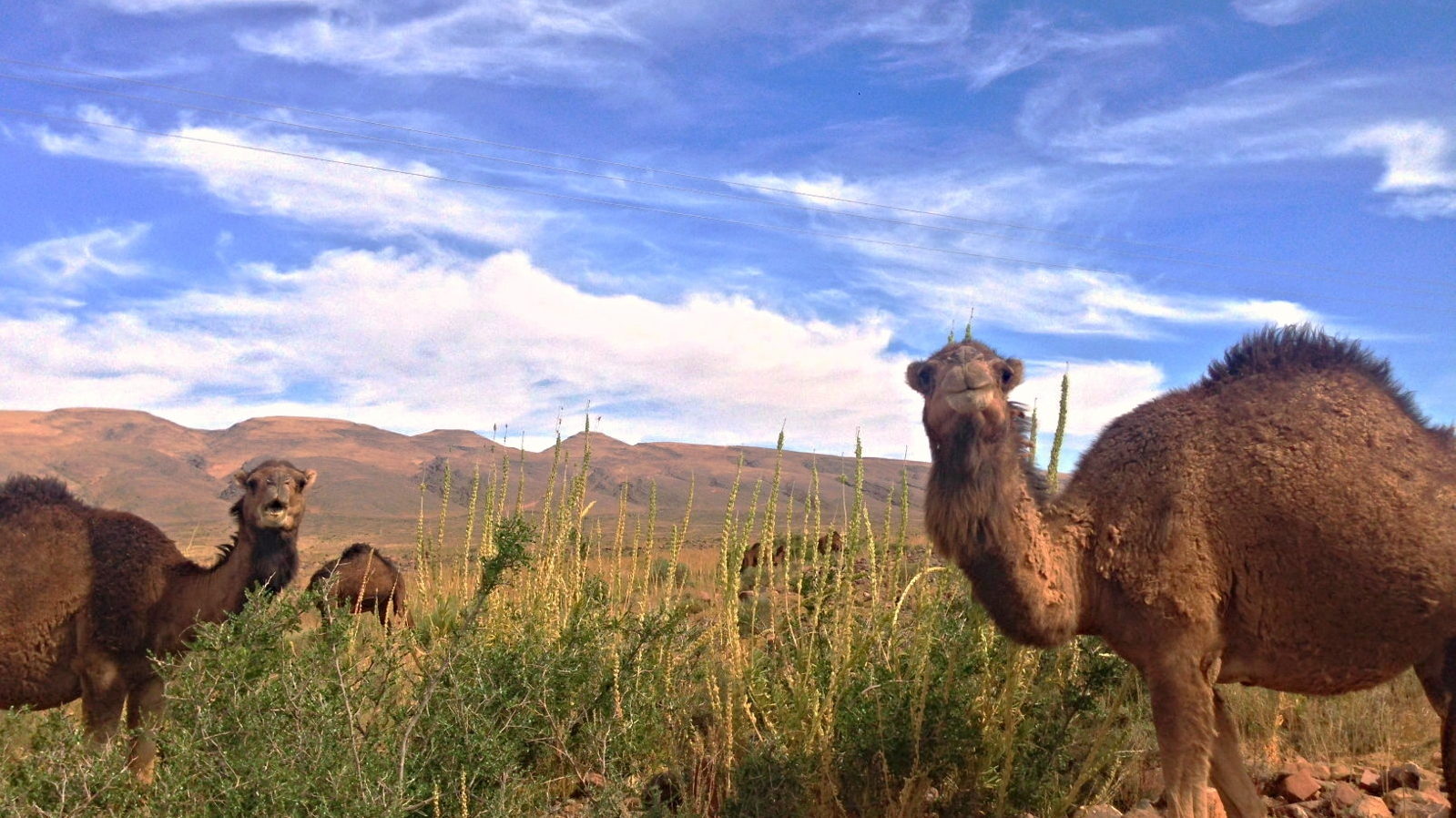 Kasbah Nkob Ennakhile - Excursions