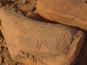 Kasbah Nkob Ennakhile - Ausflüge