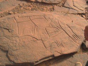 Kasbah Nkob Ennakhile - Ausflüge