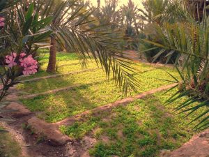 Kasbah Nkob Ennakhile - Ausflüge